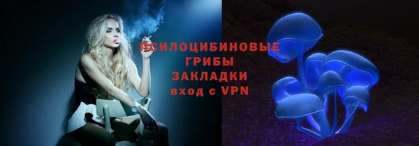 ALPHA PVP Беломорск