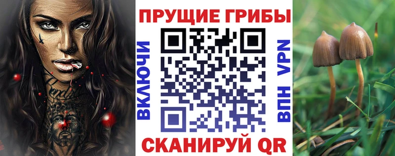 Галлюциногенные грибы GOLDEN TEACHER  Купить закладки  Новосиль 